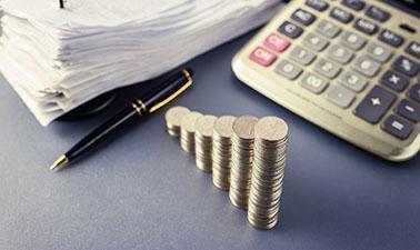 Long-term Financial Management (edX)