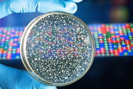 Bacterial Genomes II: Accessing and Analysing Microbial Genome Data Using Artemis (FutureLearn)