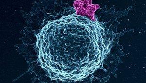 HIV Science (FUN)