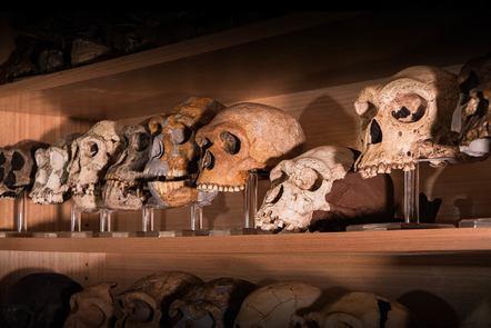 A Question of Time: How We Date Human Evolution (FutureLearn)