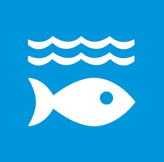 Sustainable Development Goal 14: Life Below Water (CanopyLAB)