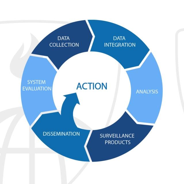 Surveillance Systems: The Building Blocks (Coursera)