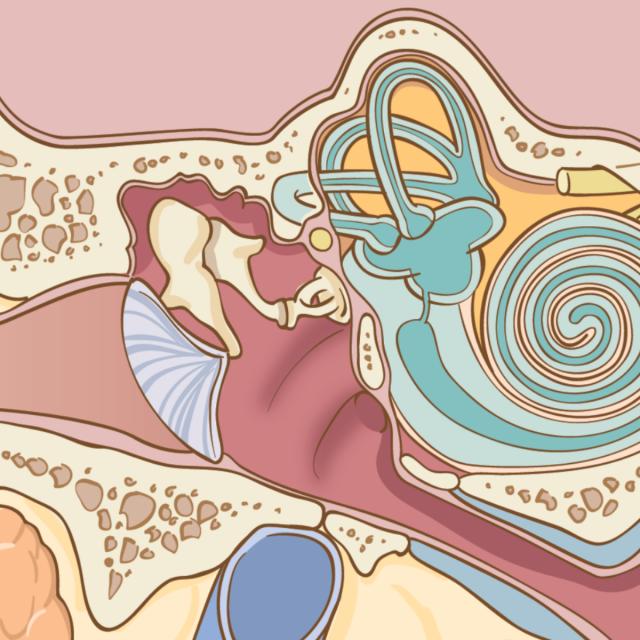 Introduction to Hearing Loss (Coursera)