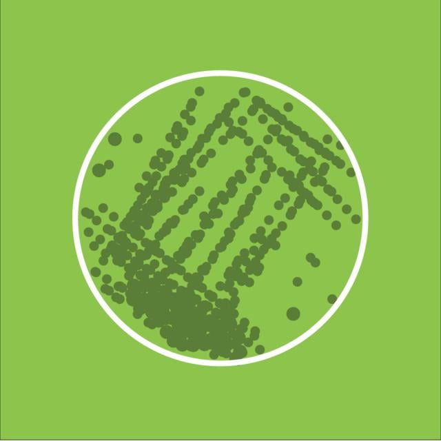 Introduction to Algae (Coursera)