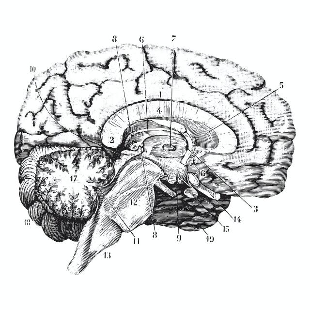 Philosophy of Science (Coursera)