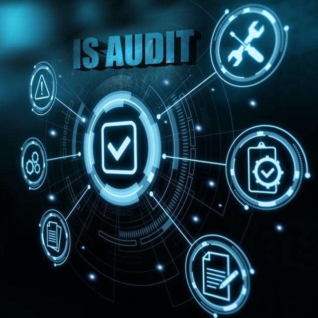 Information Systems Auditing, Controls and Assurance (Coursera)