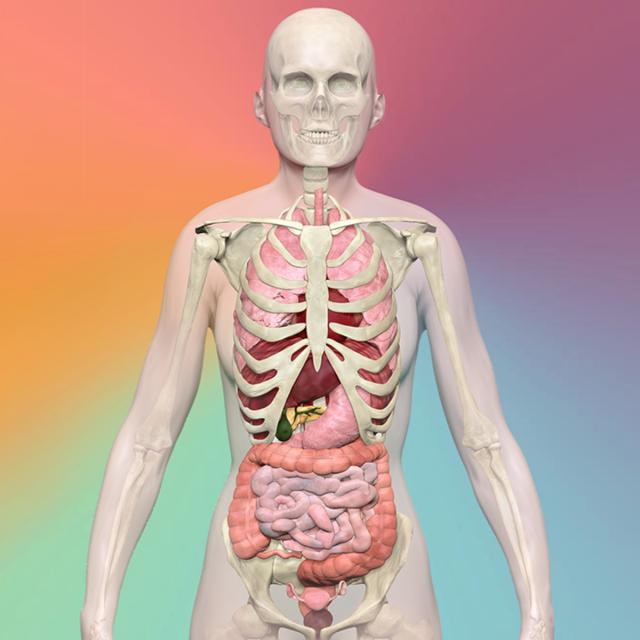 Biomedical Visualisation (Coursera)